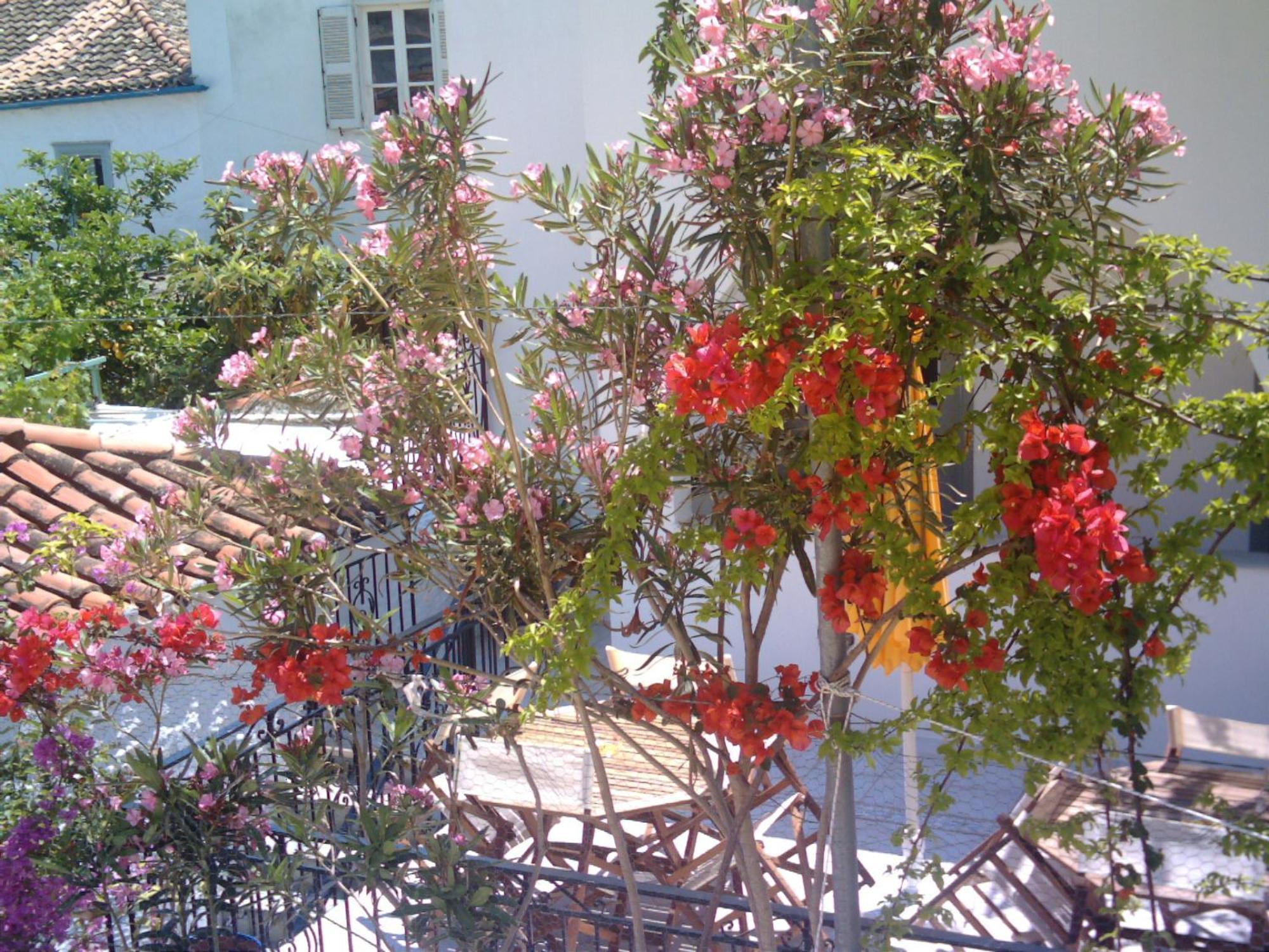 Guest house Alkionides Hydra 3*